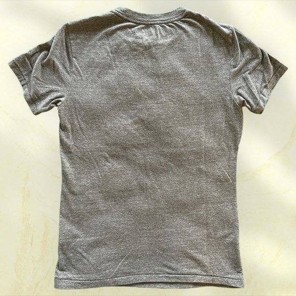 Aéropostale Gray Tee with Framed Deer Art (Size XS) - Picture 2 of 4